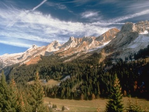 aravis