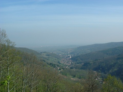 andlau04