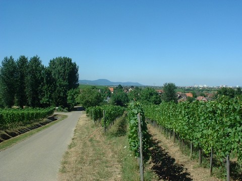 eguisheim12