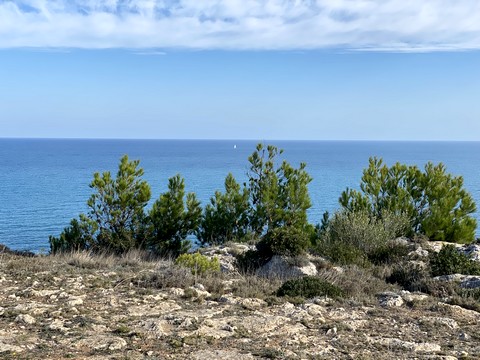 cap leucate