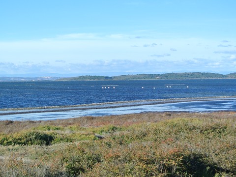 ile sainte lucie