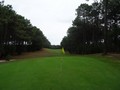 golf_foret