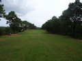 golf_foret