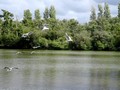 promenade