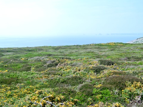 cap de la chevre