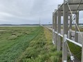 Pont de Normandie