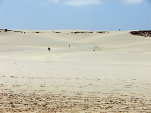 dunes