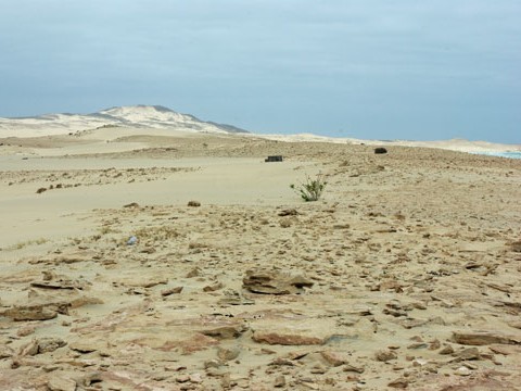 dunes