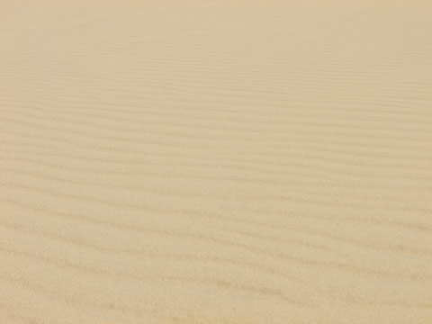 dunes