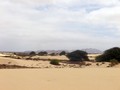 dunes