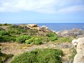 cap creus