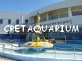 cretaquarium