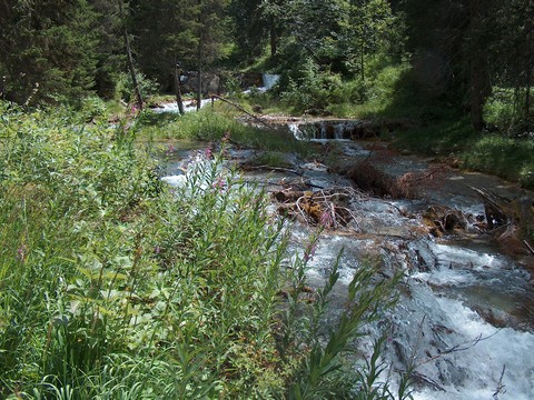 lac de la rosiere