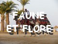 faune