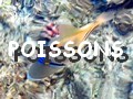 poissons