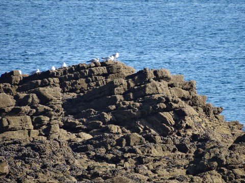 ilot saint michel