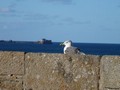 st_malo