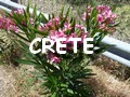 Crete