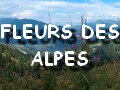 Fleurs des Alpes