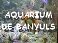 aquarium