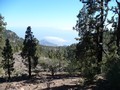 teide