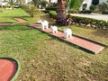 mini_golf