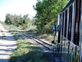 camargue