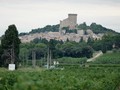 chateauneuf